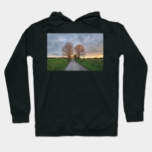 Irish country road 5 Hoodie